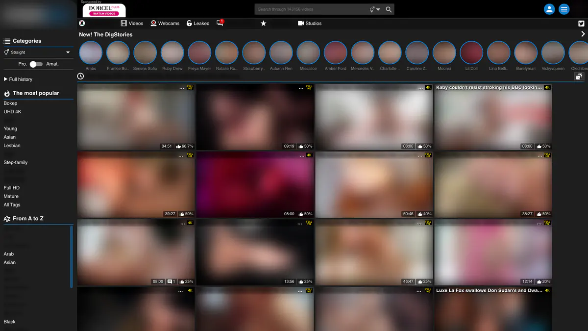 Porndig Video Downloader screenshot 2