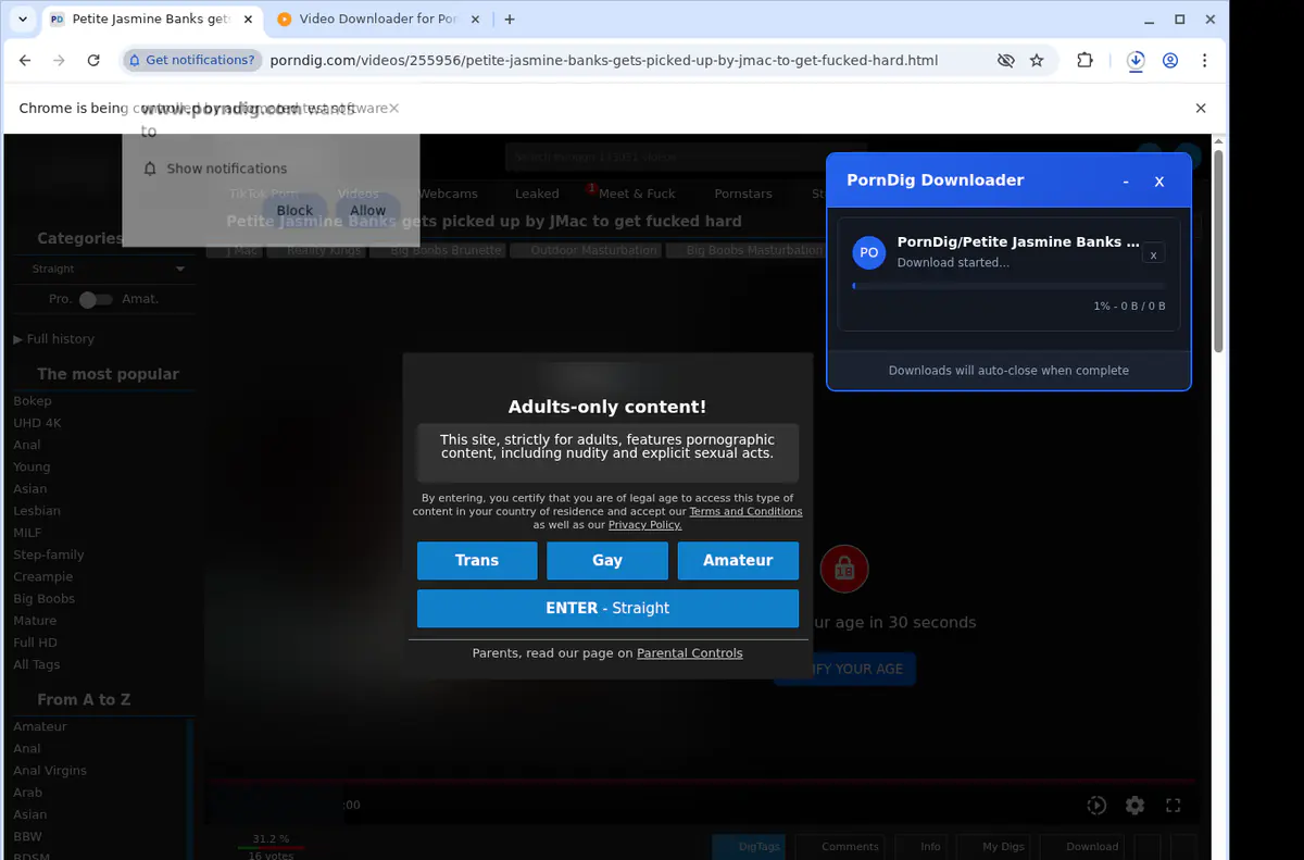 Porndig Video Downloader screenshot 3