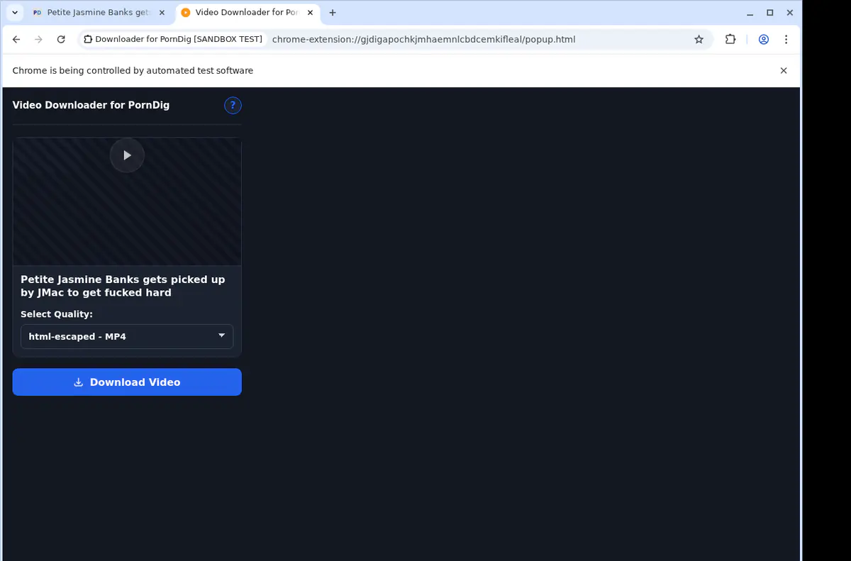 Porndig Video Downloader screenshot 4